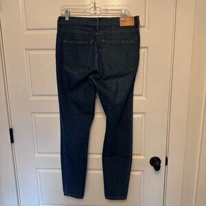 Everlane Mid-Rise Skinny Jean size 30 Tall